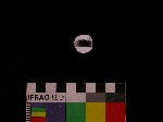 V19d8222 J1q843.1 Q921 dM f208 la.jpg
